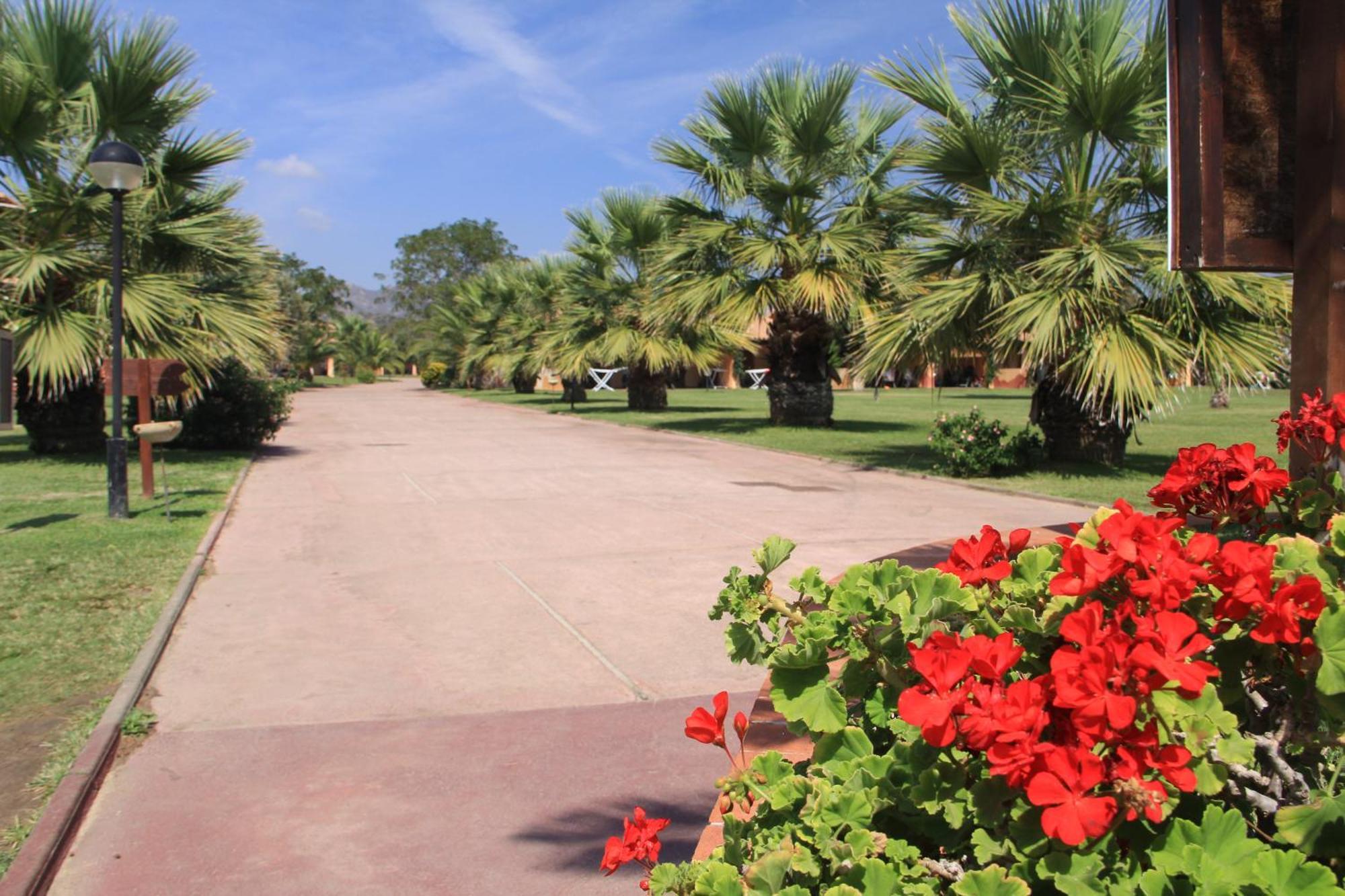 Rey Beach Club Monte Nai Εξωτερικό φωτογραφία